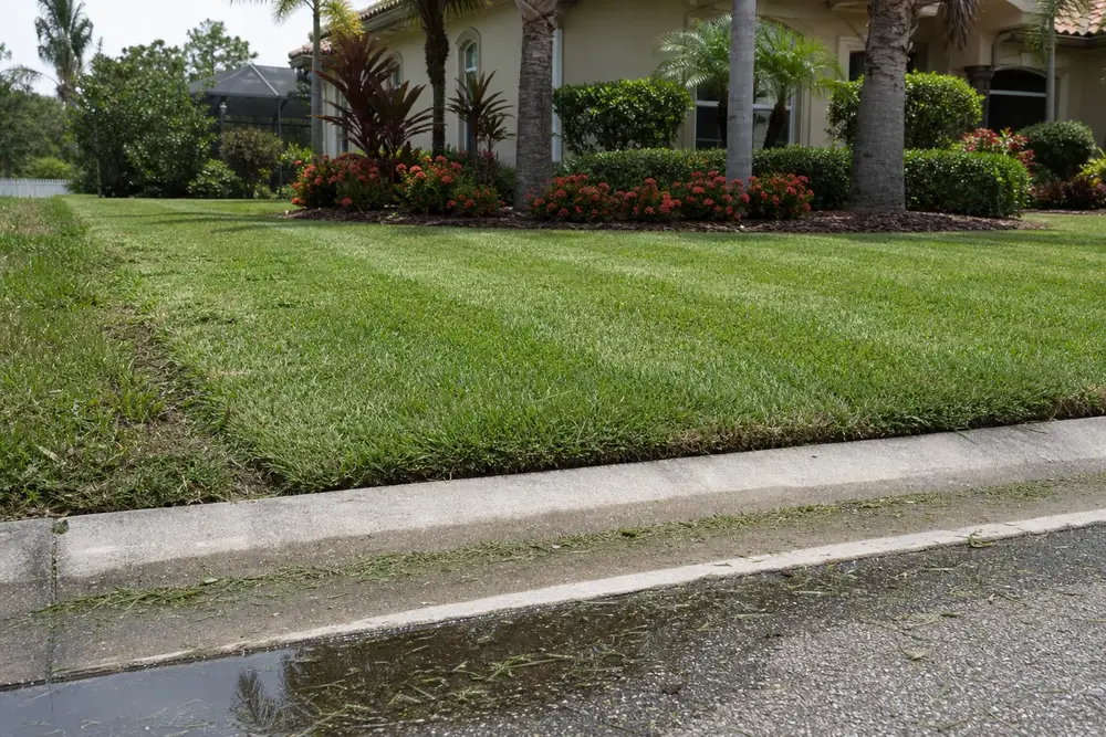 curb appeal after service day street level