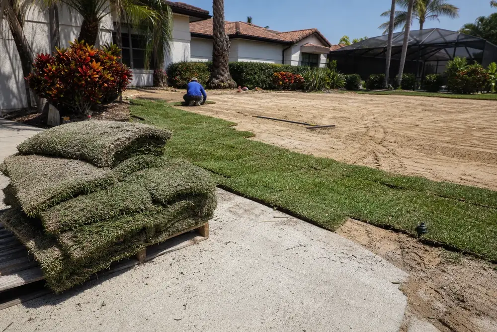 Sod Installation in Palmetto, Florida