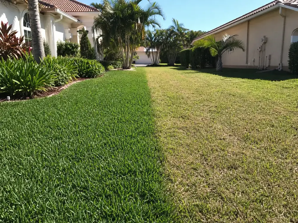 Lawn Care in Palmetto, Florida